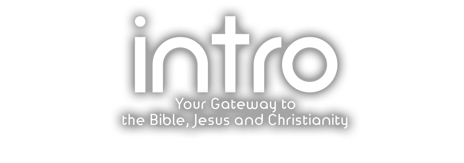 Intro Daily